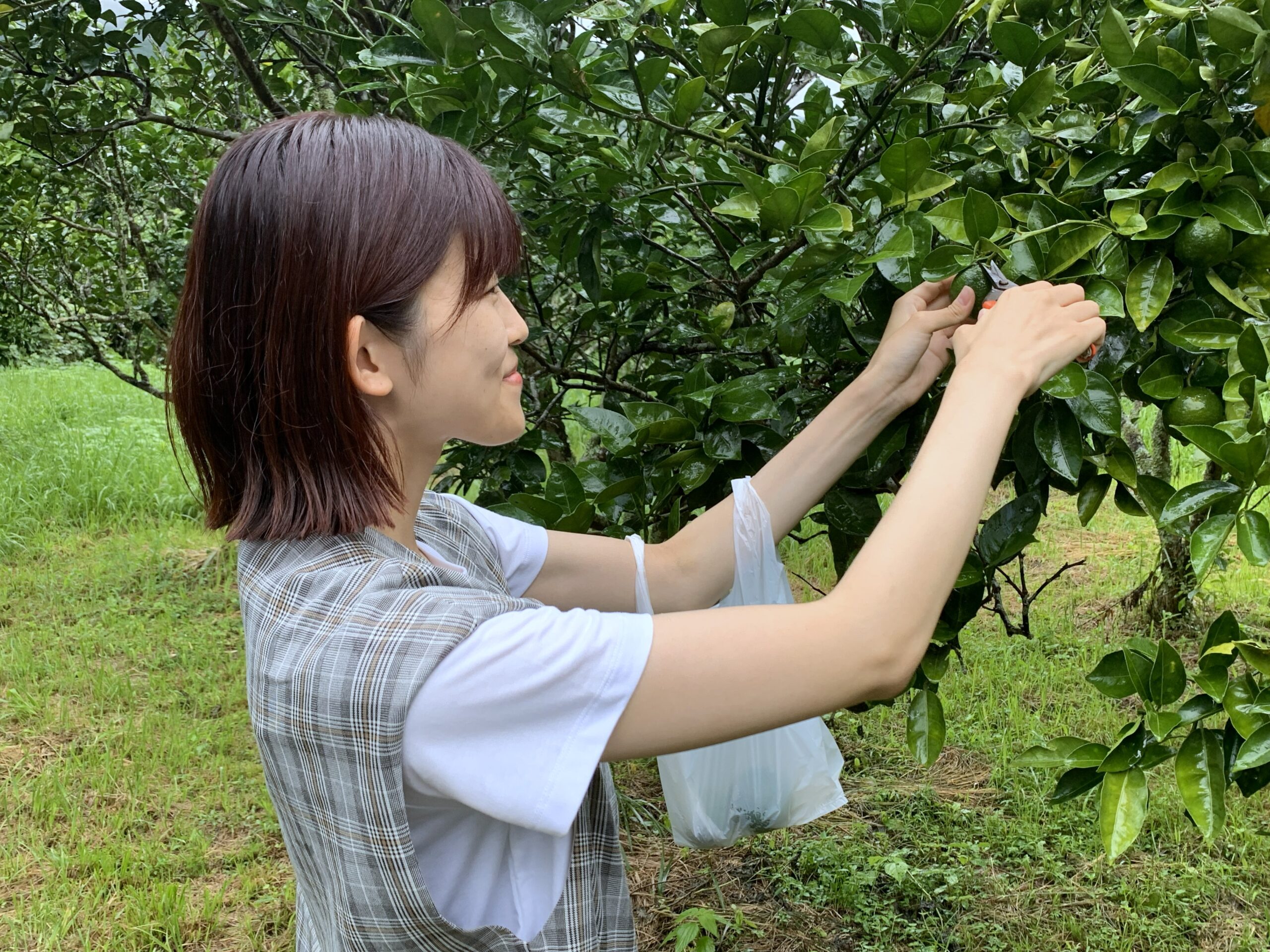 ぶしゅかん狩り1